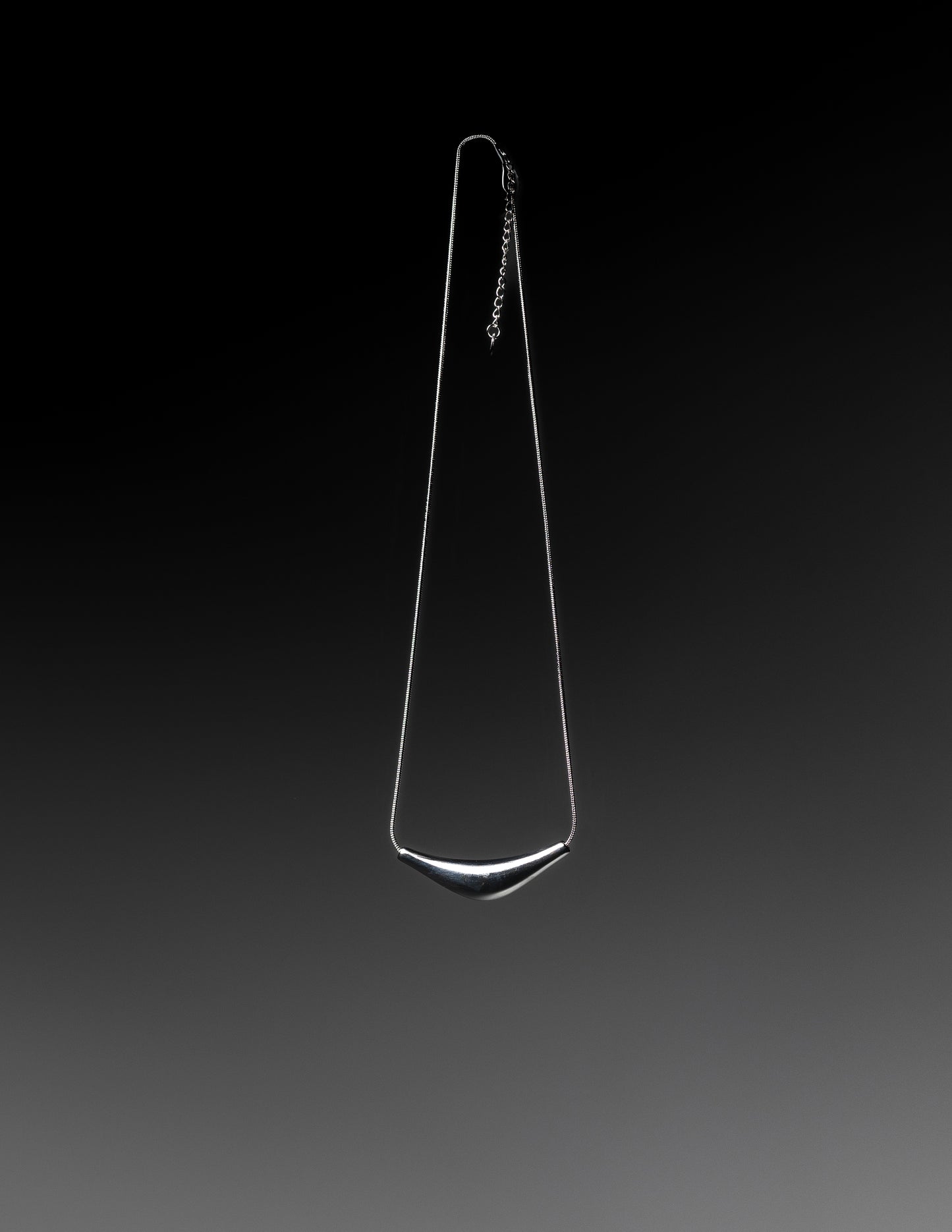Lunar Curve Necklace