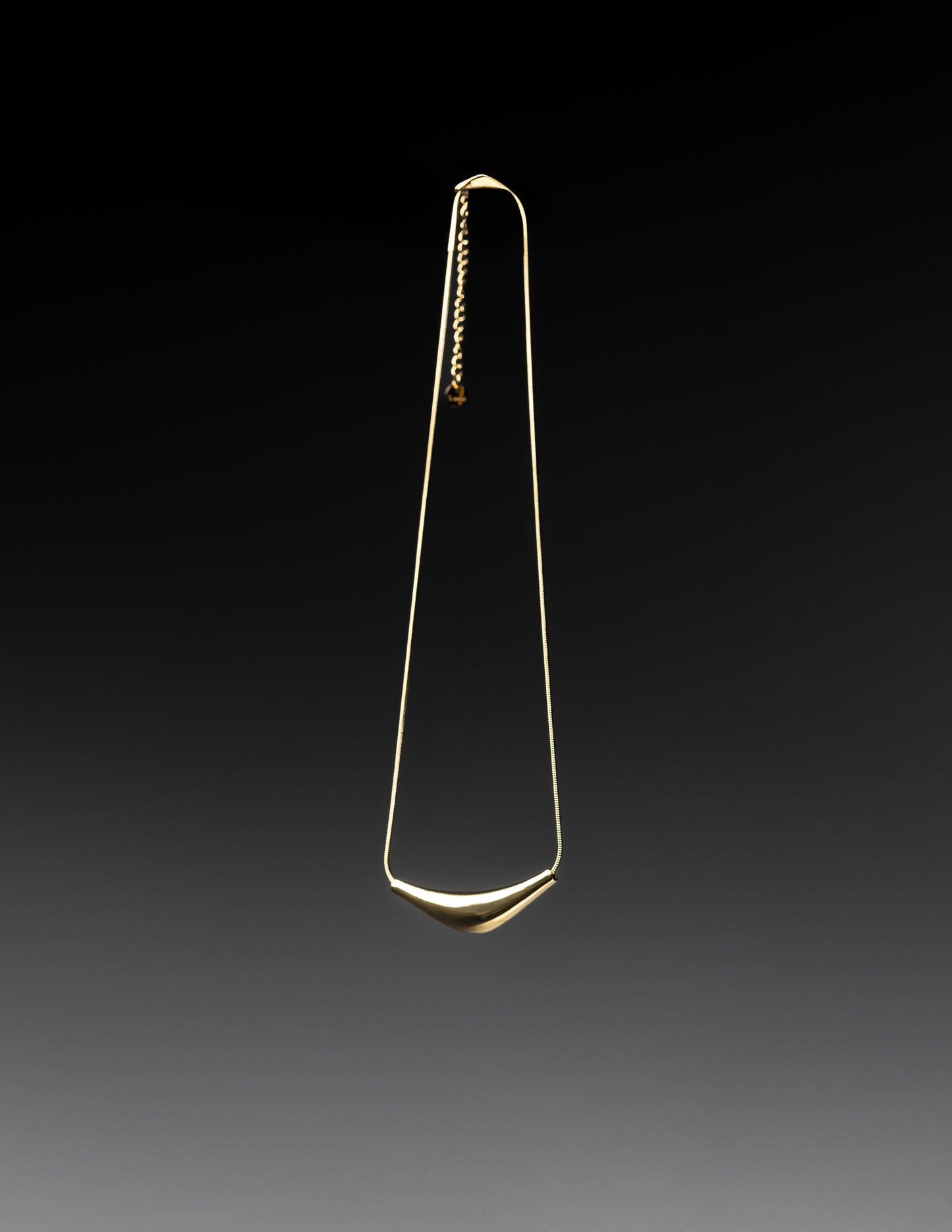 Lunar Curve Necklace